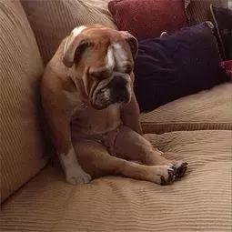 美国快递服务有多差,美国快递反映了美国人的什么