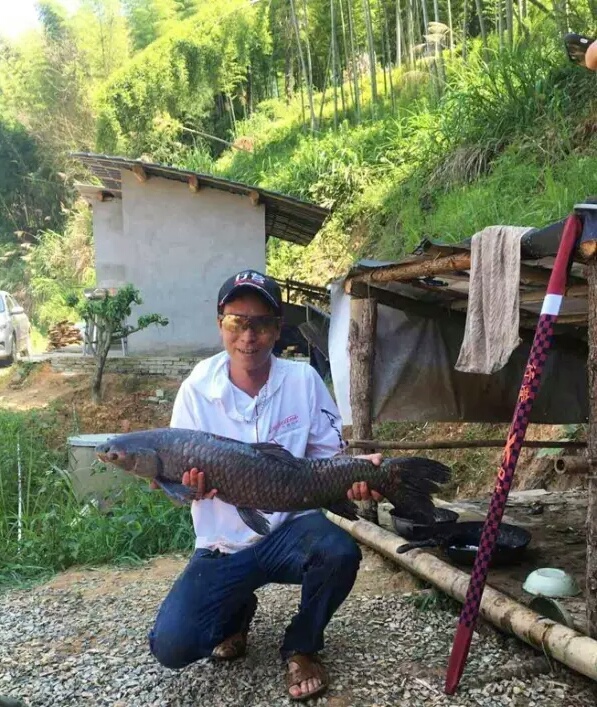 香精小药黑坑专用,揭秘黑坑小药都加了什么添加剂