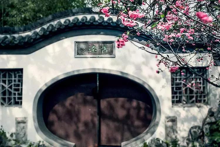 最好的十首落花诗,最美的落花诗100首