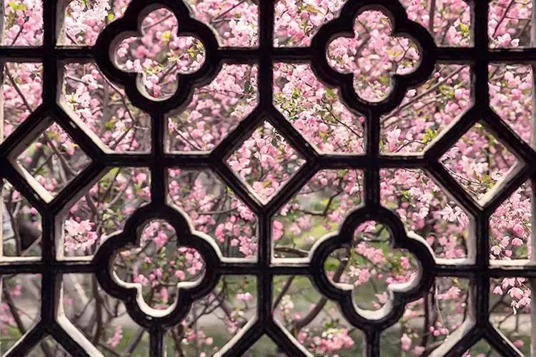 最好的十首落花诗,最美的落花诗100首