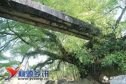 通德大桥是什么类型的桥,永春断桥