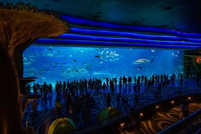 五一去广州长隆旅游攻略,五一珠海长隆旅游攻略