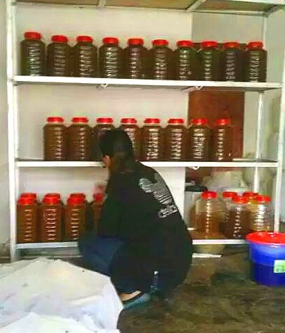 云南岩蜂蜜的作用与功效,揭开土蜂蜜的神秘面纱