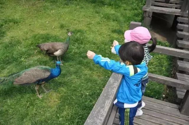 魔法宝贝门票,魔法宝贝团购