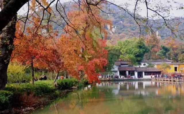 魔法宝贝门票,魔法宝贝团购