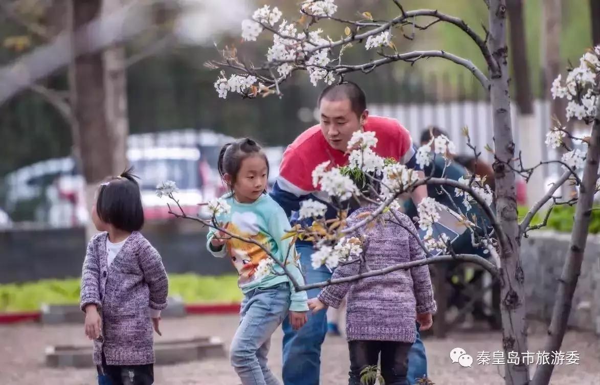 给所有秦皇岛人,这里有一份春天请你查收!