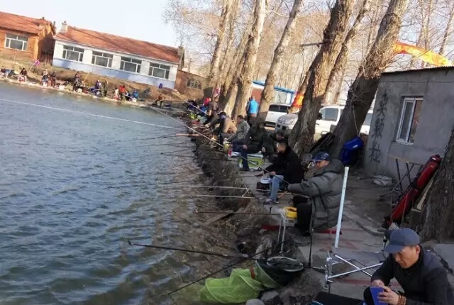 「二十八」小药篇：氨基酸丰富饵料营养，增加适口性