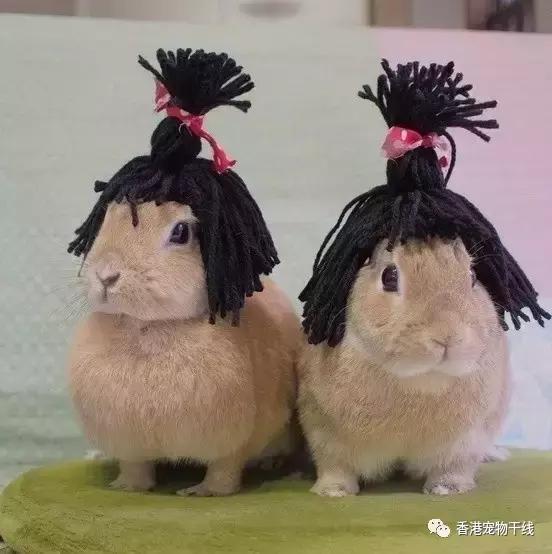 我的地盘听我的,我的地盘听我的翻唱现场