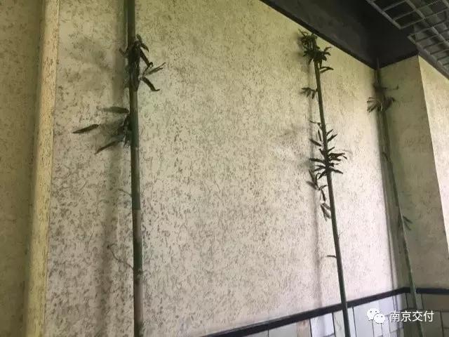 房龄差“三岁“，为了莫愁湖”新项目“却比老项目显老？