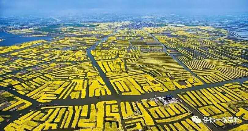 兴化的故事,兴化老故事