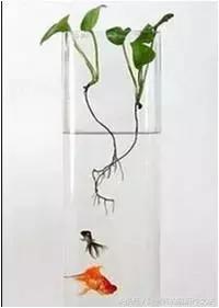 写童话的技巧和方法动画,写童话怎么写300字