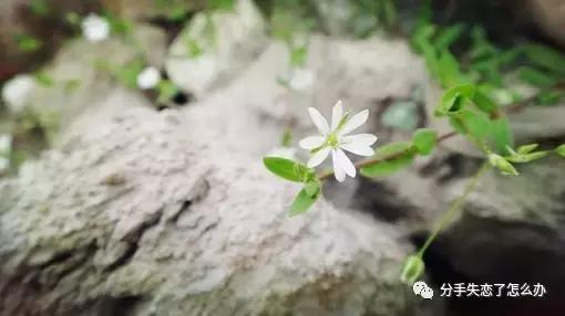 如何面对恋爱与婚姻,如何面对恋爱中的压力