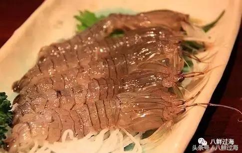 比手臂还粗的皮皮虾你吃过了吗,比手臂还要大的皮皮虾你吃过没有