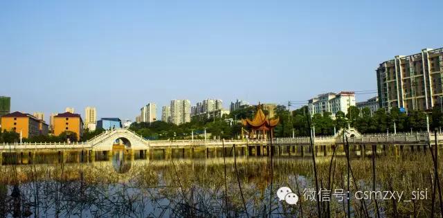 长沙民政职业学院哪个专业最好,长沙民政学院2022录取名单