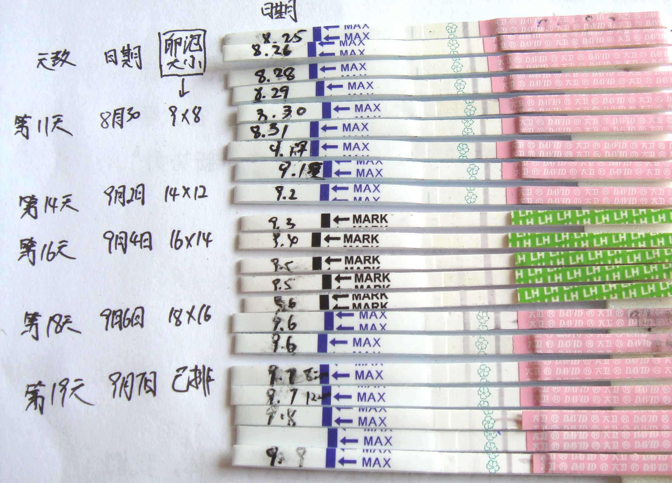 知道排卵期怎么找准排卵日,排卵期怎么根据分泌物计算