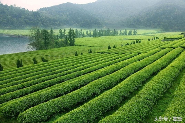 走春入夏时，养车这么做让你省钱又省心