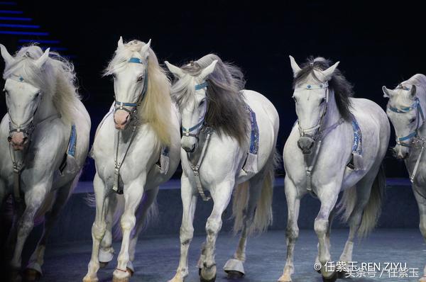 长隆海洋王国亲子游路线,一天游珠海长隆海洋王国亲子攻略