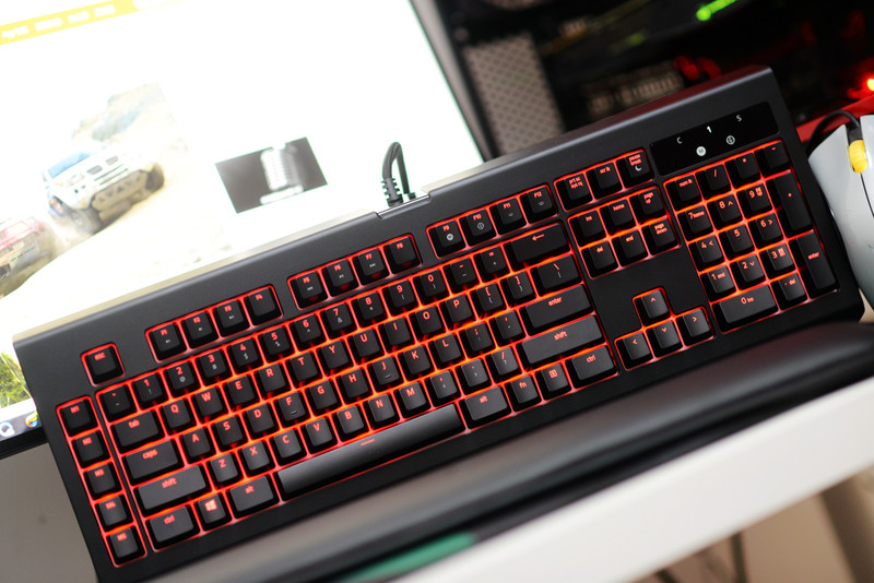 黑寡妇蜘蛛2019和幻彩版,黑寡妇蜘蛛幻彩版测评