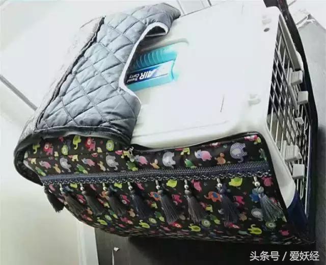 爱妖经｜赛场猫咪同款用品，主子们都拒绝不了的诱惑