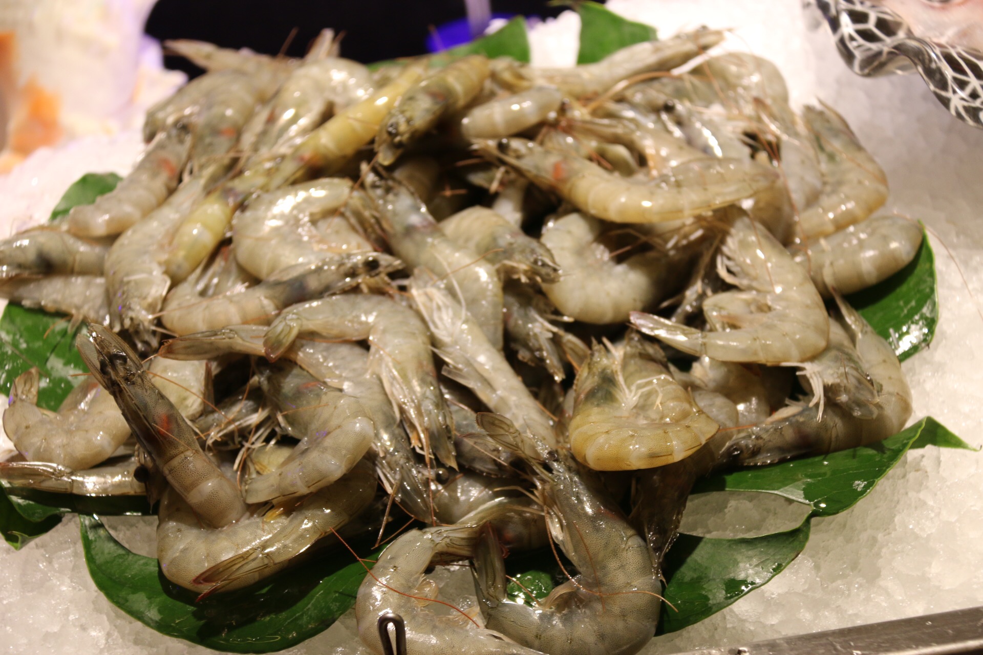 新鲜海洋海鲜,大海的味道不容错过冰鲜海鲜