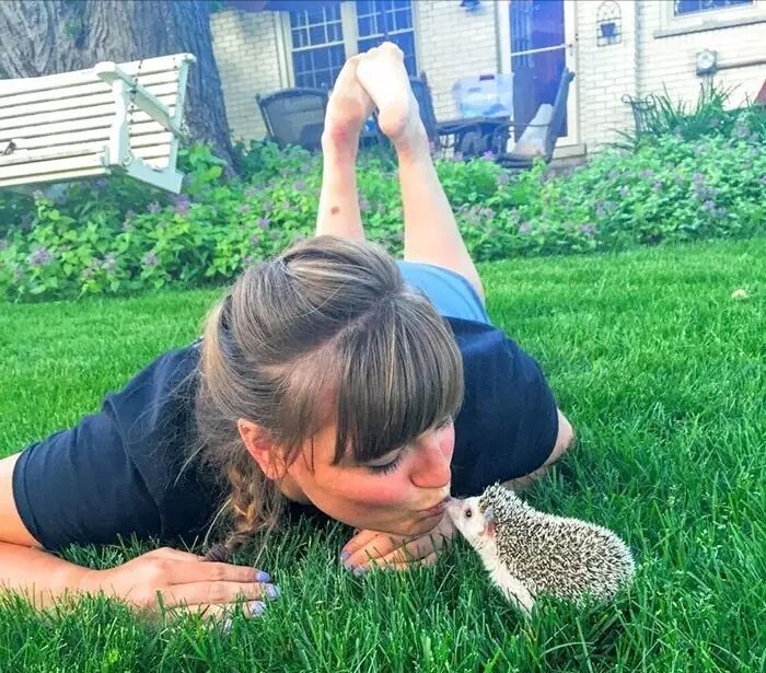 养一只刺猬,这么可爱的刺猬你也想养一只吗