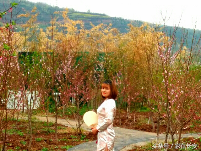 西安桃花花海旅游节,西安长安桃花园景区