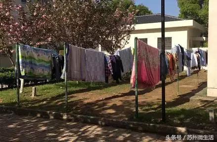 天平学院是公办的吗,苏州天平学院全国排名