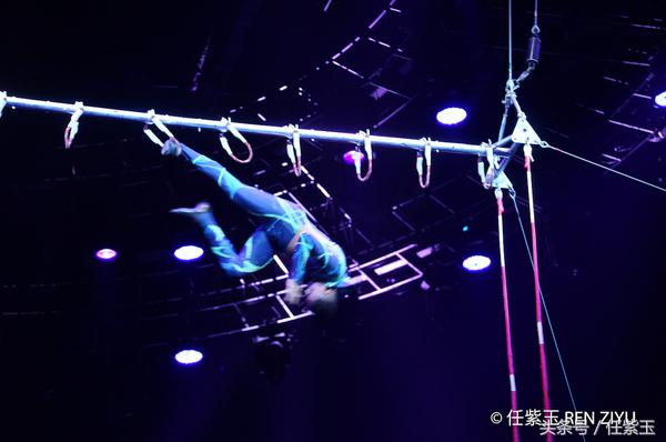 长隆海洋王国亲子游路线,一天游珠海长隆海洋王国亲子攻略