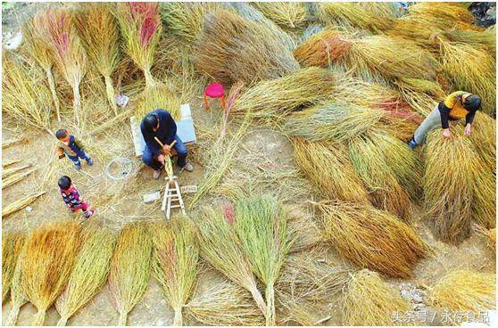 东北扫帚做法,扫帚可以吃吗