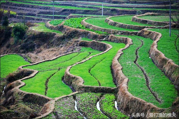 农民种地不容易顺口溜,农村种地顺口溜希望朋友们喜欢
