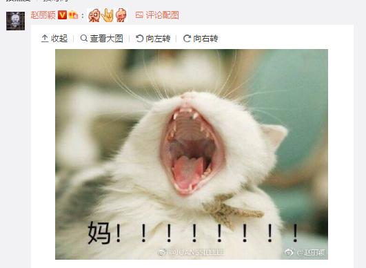 周冬雨赵丽颖同款表情包,赵丽颖周冬雨许久未上微博热搜