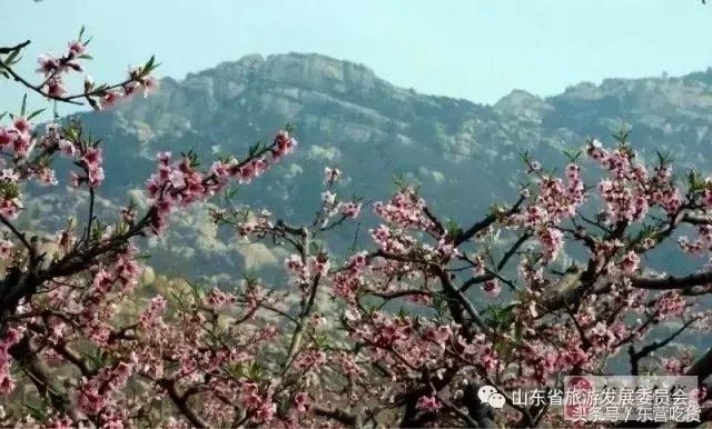 东营五一假期好去处,五一东营去哪里玩比较好