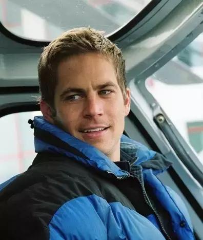 带你家狗狗一起看的电影,带宠物一起去看电影吧