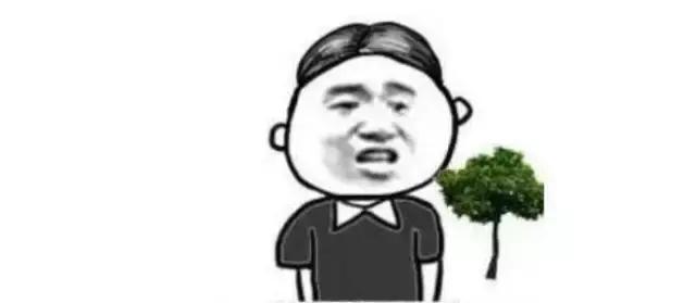 广州市驾校排名前十名,广州市驾校通过率排名