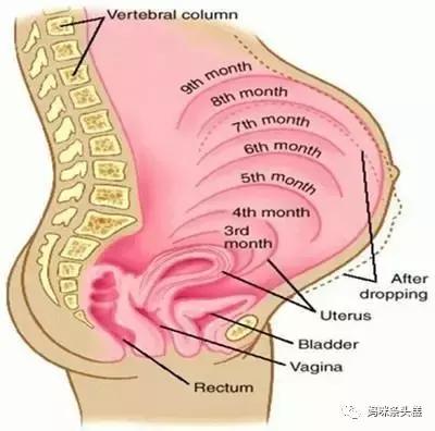 纪实:孕37周我经历的一次无麻手术,为娘前第一次体会母爱