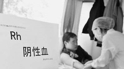 熊猫血是什么血型孕妇,熊猫血是什么血型