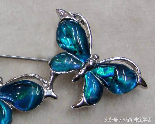 鲍鱼除了吃还代表什么,鲍鱼除了是食物还是什么东西