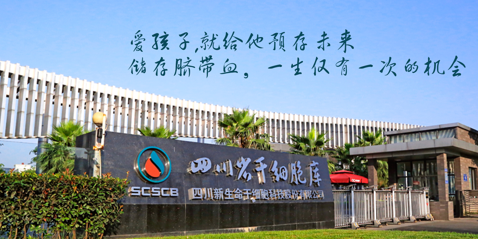 脐带干细胞治疗糖尿病神经病变,脐带干细胞治疗糖尿病效果好吗