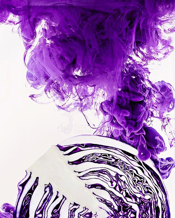 天马行空摄影,天马行空的拍摄