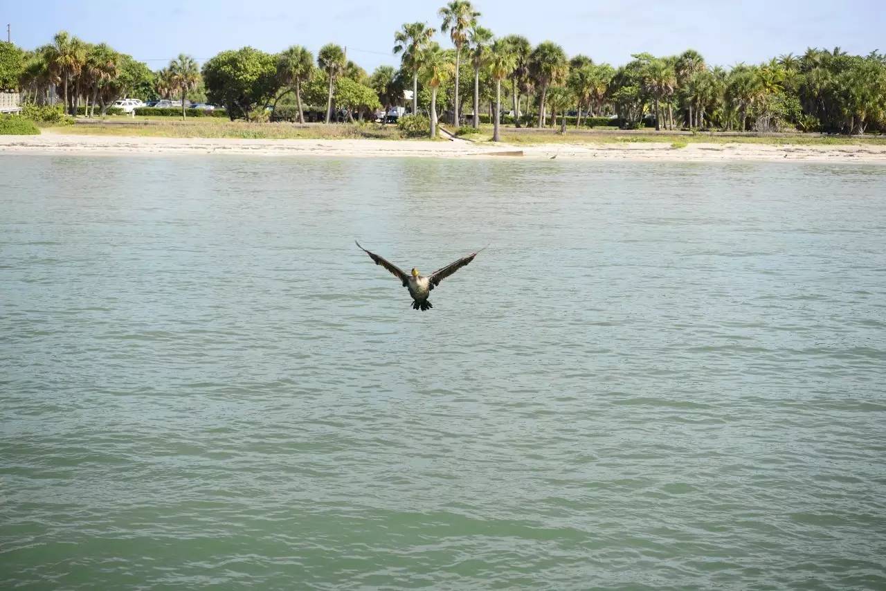 佛罗里达海滩游玩攻略,来迈阿密旅游