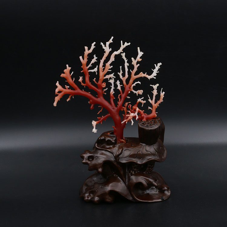 红珊瑚贵吗什么样的最贵,现在红珊瑚每克多少米