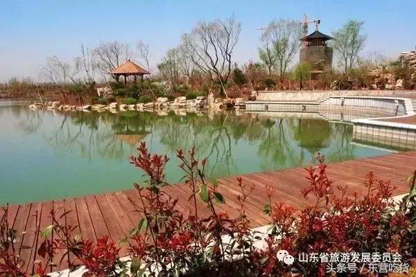 东营五一假期好去处,五一东营去哪里玩比较好