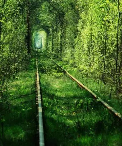 口腔医院渠道运营体系,口腔医院线上经营模式