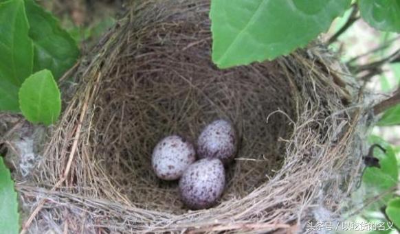 80后的我们重拾旧时光图片,80后怀念时光的图片