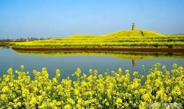 临沂三区九县改成什么了,临沂市三区九县名称