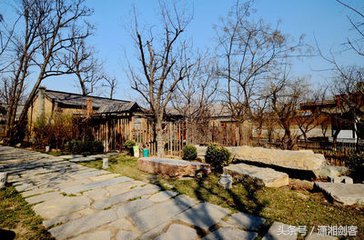 徐老汉给母猪配种,让你笑到肚子痛