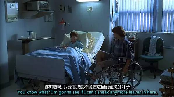 颜值演技双在线值得反复观看,颜值演技在线的“双男主剧”