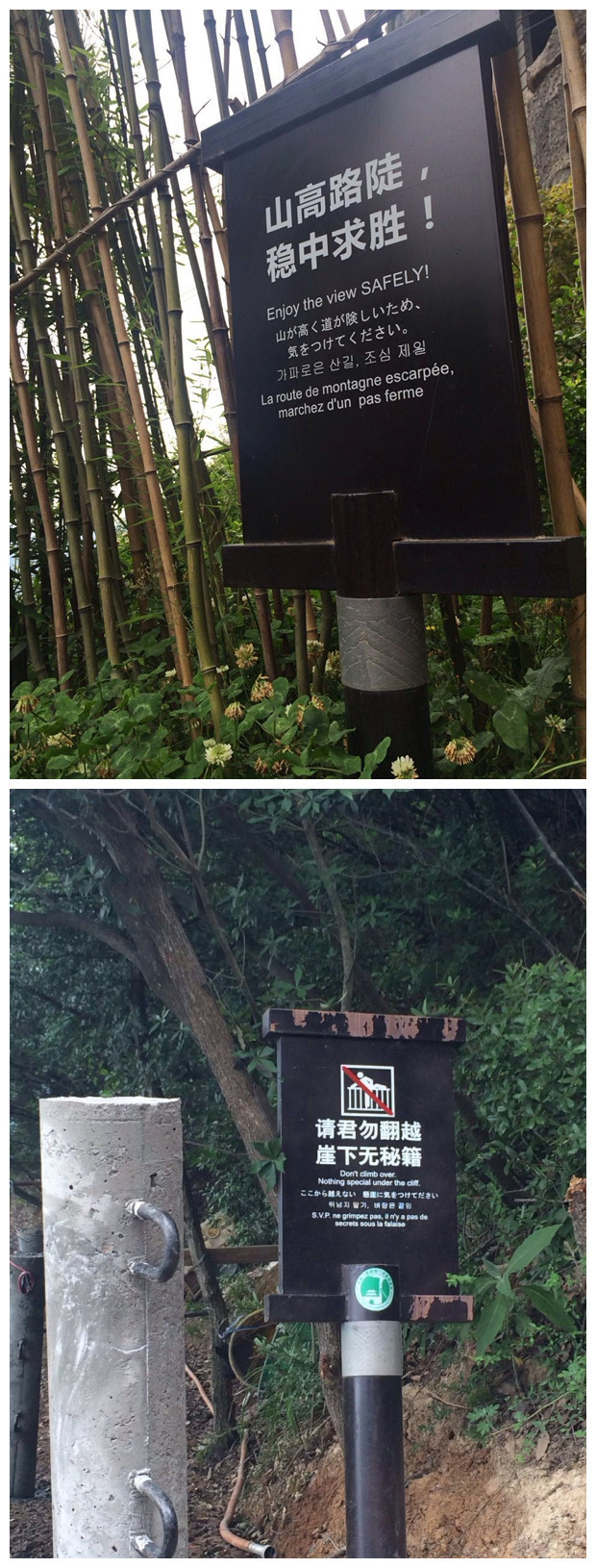 阆中古城蜀道盛世旅游攻略,五一游剑门关