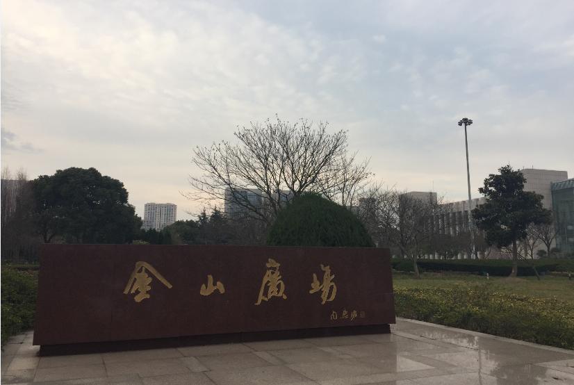 住金山区的感受,在金山居住的体验