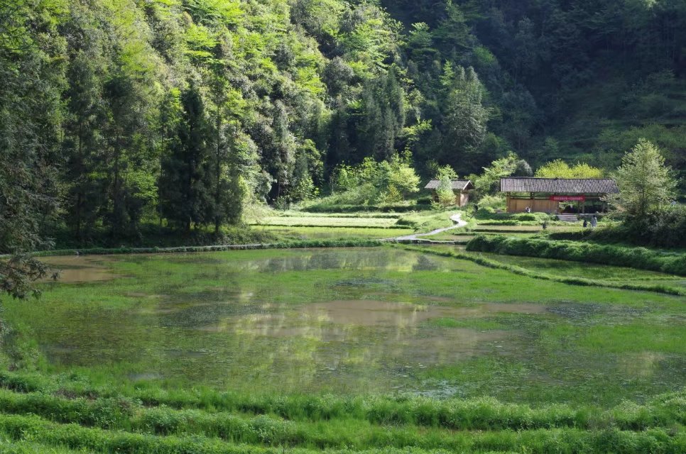 跟着爸爸去露营古镇,跟着爸爸去体验生活